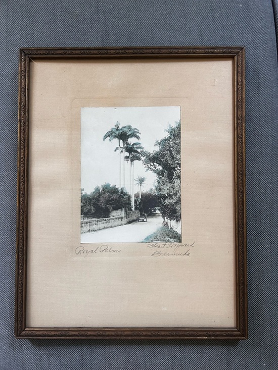 Other - Orig. SIGNED hand-tinted 1920 photograph by Stuart Hayward. Royal Palms, Bermuda